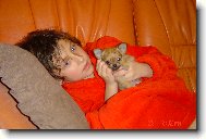 Chihuahua