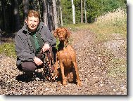 Rövidszörü Magyar Vizsla, Hungarian Short-haired Pointing Dog