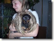 PRAGUE RATTER