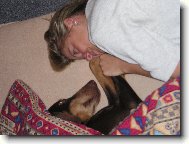 Dobermann, Doberman