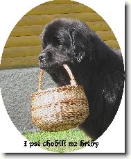 Newfoundland