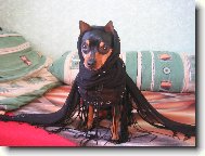 PRAGUE RATTER