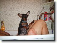 PRAGUE RATTER