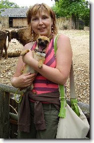 Chihuahua