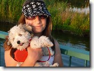 Bichon Havanais, Havanese