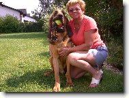Chien de Saint-Hubert