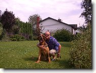 Chien de Saint-Hubert