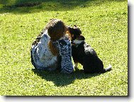 Welsh Corgi Cardigan