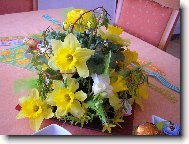 Narcis