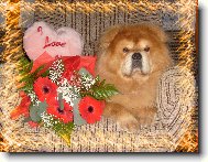 Chow Chow