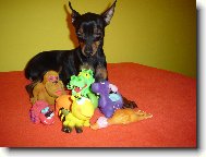 PRAGUE RATTER