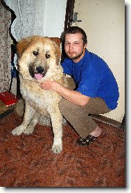 Caucasian shepherd \(Dog standard\)