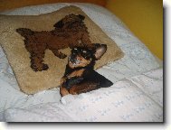 PRAGUE RATTER