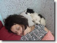 Chin, Japanese Chin