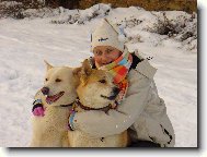 Japanese akita \(Dog standard\)