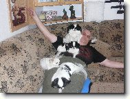 Chin, Japanese Chin