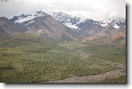 Denali national park-Alaska