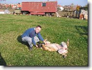 Fila Brasileiro