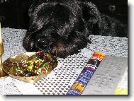 Schnauzer