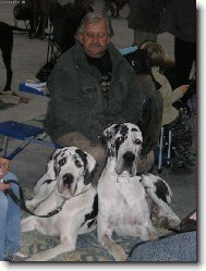 Deutsche Dogge