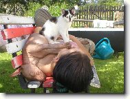 Perro Sin Pelo del Per