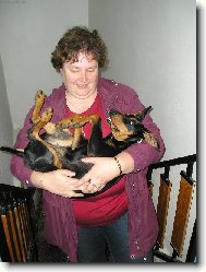 German Pinscher