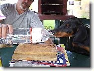 Dobermann, Doberman