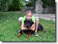 Rottweiler