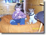 Jack Russell Terrier