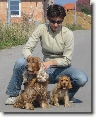 English Cocker Spaniel