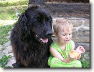 Newfoundland