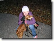 English Cocker Spaniel