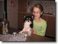 Chihuahua