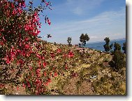 Republica del Peru