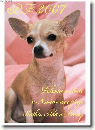 Chihuahua