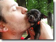 Chihuahua