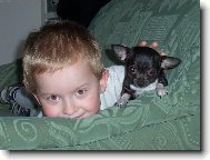 Chihuahua