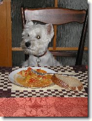 West highland white terrier \\\\\(Dog standard\\\\\)