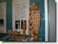 Egyptian mau