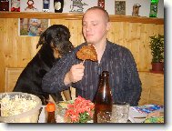 Rottweiler