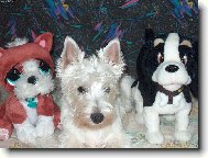 West highland white terrier \\\\\(Dog standard\\\\\)