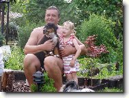 Bernese mountain dog (Dog standard)
