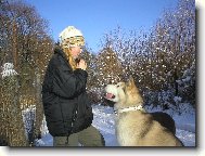 Alaskan malamute (Dog standard)