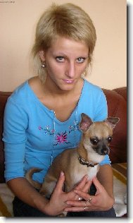 Chihuahua
