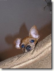 PRAGUE RATTER