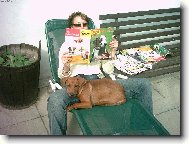 German Pinscher
