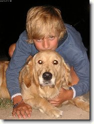 Golden Retriever