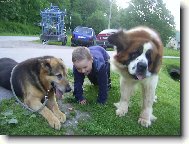 Saint Bernard
