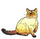 Cat world