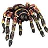 Avatars to free download: Animals: Insects